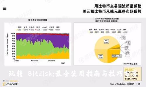玩转 Bitdisk:最全使用指南与技巧分享