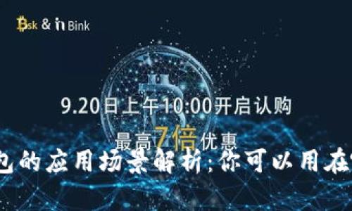 : 数字钱包的应用场景解析:你可以用在哪些地方?