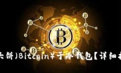 如何安全存储大饼（Bitc