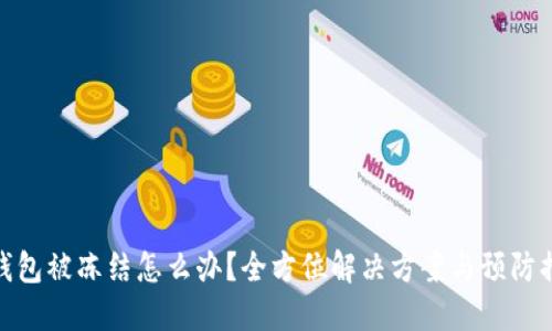 冷钱包被冻结怎么办?全方位解决方案与预防措施