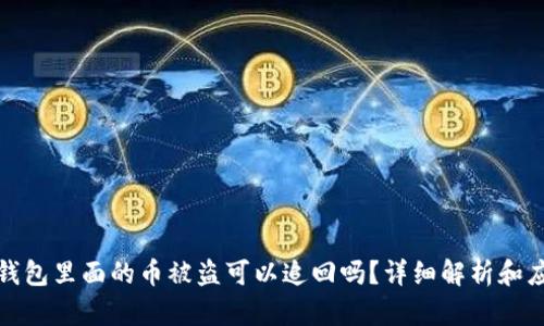 文章冷钱包里面的币被盗可以追回吗?详细解析和应对措施