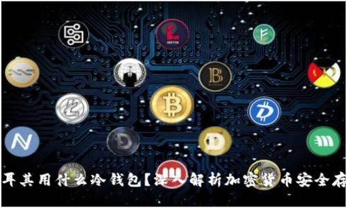 土耳其用什么冷钱包?深入解析加密货币安全存储
