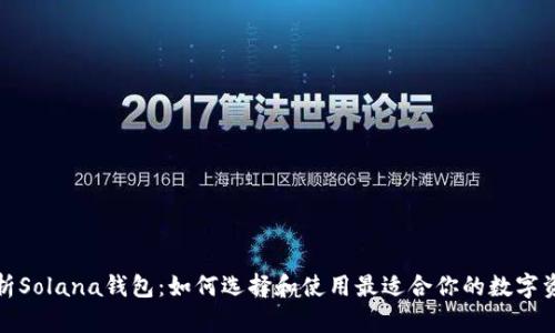 全面解析Solana钱包:如何选择和使用最适合你的数字资产钱包