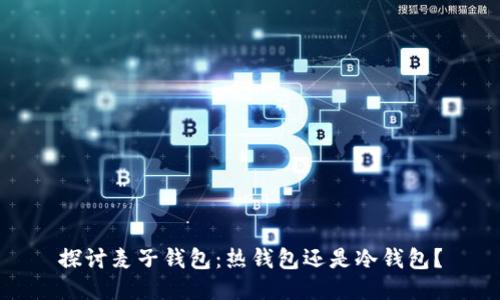 探讨麦子钱包:热钱包还是冷钱包?