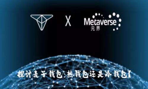 探讨麦子钱包:热钱包还是冷钱包?