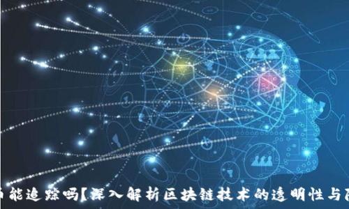 虚拟币能追踪吗?深入解析区块链技术的透明性与隐私性