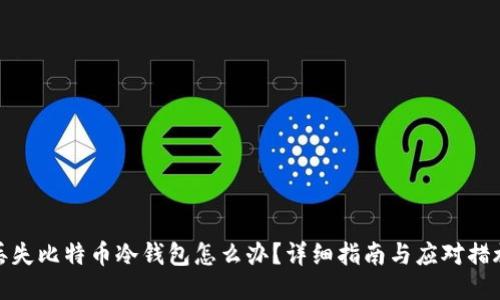 丢失比特币冷钱包怎么办?详细指南与应对措施