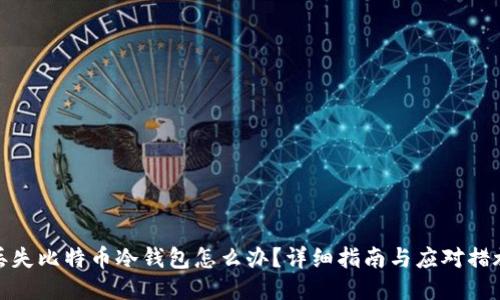 丢失比特币冷钱包怎么办?详细指南与应对措施