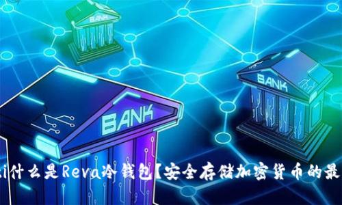 biao ti什么是Reva冷钱包？安全存储加密货币的最佳选择