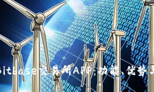 全面解读Bitbase交易所APP:功能、优势与用户体验