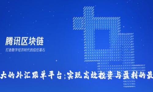 全球最大的外汇跟单平台:实现高效投资与盈利的最佳选择
