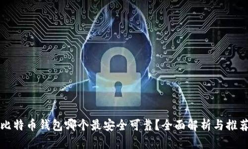 比特币钱包哪个最安全可靠?全面解析与推荐