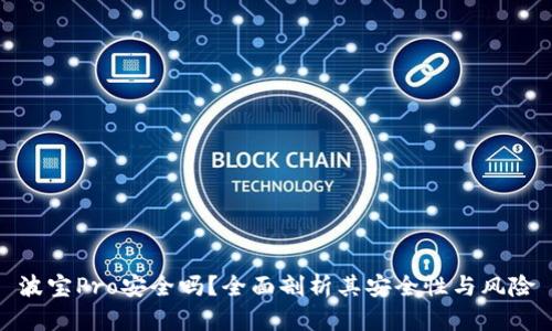 波宝Pro安全吗?全面剖析其安全性与风险