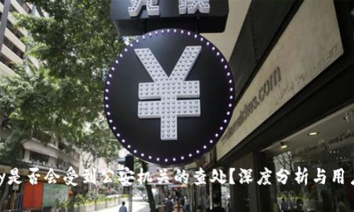 OKPay是否会受到公安机关的查处?深度分析与用户须知