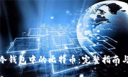 如何发现冷钱包中的比特币:完整指南与安全策略