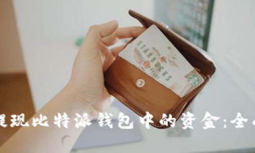 如何提现比特派钱包中的资金:全面指南