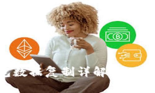 比特币冷钱包数据复制详解:安全性与风险分析