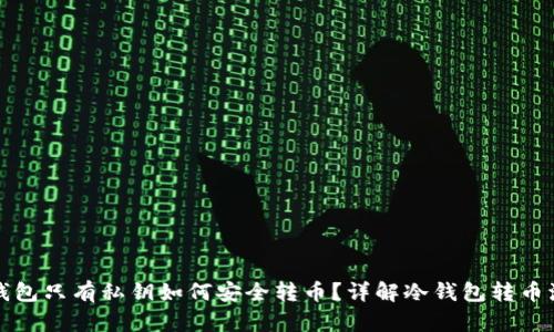 冷钱包只有私钥如何安全转币?详解冷钱包转币流程