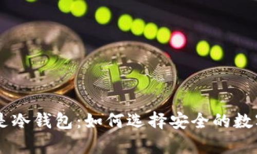 币存热钱包还是冷钱包:如何选择安全的数字资产储存方式