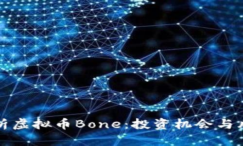 全面解析虚拟币Bone:投资机会与风险分析