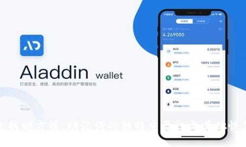 冷钱包找回方法:助记词的独特重要性与其他恢复选项