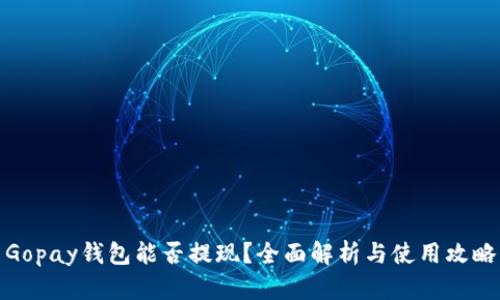 Gopay钱包能否提现？全面解析与使用攻略