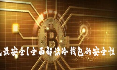 哪个冷钱包最安全?全面解读冷钱包的安全性与选择指南