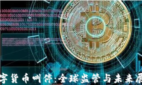 数字货币叫停:全球监管与未来展望