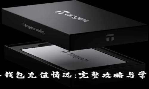 如何查询冷钱包充值情况:完整攻略与常见问题解答