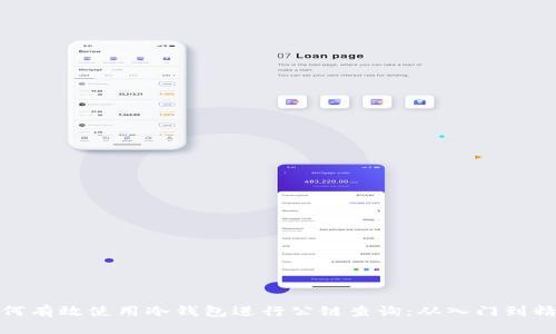 如何有效使用冷钱包进行公链查询:从入门到精通