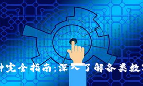 优质虚拟币品种完全指南:深入了解各类数字货币及其应用
