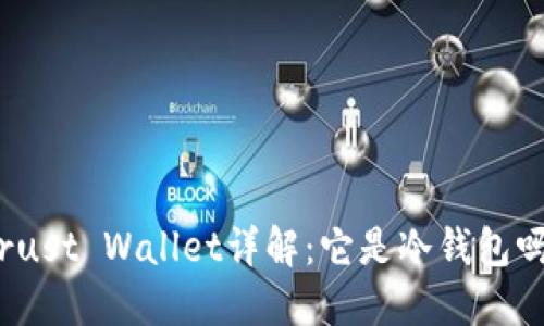 Trust Wallet详解:它是冷钱包吗?
