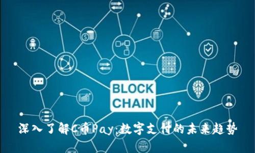 深入了解C币Pay:数字支付的未来趋势