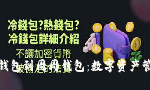 探索币币钱包到周周钱包：数字资产管理新选择