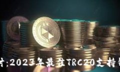   深入探讨：2023年最佳T