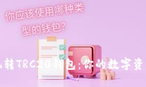 如何轻松玩转TRC20钱包：你的数字资产管理指南