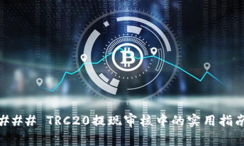 ### TRC20提现审核中的实用指南
