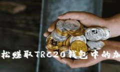 如何轻松赚取TRC20钱包中的