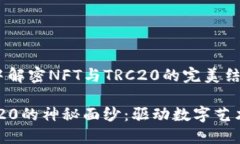 : 在加密世界中解密NFT与