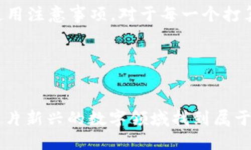 BTC地址指的什么

一、BTC地址的定义与构成
BTC地址，或者说比特币地址，是一种用于接收和发送比特币的字符串。在比特币的世界里，地址就像你的银行账户号码，它是一个用来识别你的身份和确保交易安全的关键因素。每一个比特币地址都是由数字和字母的组合，通常以“1”、“3”或者“bc1”开头。这样的设计确保了地址的唯一性和安全性。

二、比特币地址的类型
比特币地址有几种不同的类型，它们之间的差异与功能有关。最常见的几种类型包括：
ul
    listrongP2PKH地址/strong：这种地址通常以“1”开头，是传统的比特币地址，代表“点对点公钥哈希”。/li
    listrongP2SH地址/strong：以“3”开头，表示“点对点脚本哈希”，用于复杂的交易，像是多重签名。/li
    listrongBech32地址/strong：以“bc1”开头，支持隔离见证（SegWit），可以提高交易效率和降低费用。/li
/ul

三、比特币地址的生成过程
生成比特币地址的过程其实非常简单。在创建一个新的比特币钱包时，钱包软件会自动生成一对密钥：公钥和私钥。公钥就是你可以公开分享给他人的地址，而私钥则是保护你资产的密码，绝对不可以分享，丢失了私钥意味着你将无法访问对应的比特币。地址一般通过一系列复杂的算法从公钥中衍生而来，确保安全性和唯一性。

四、使用比特币地址的安全注意事项
在使用比特币地址进行交易时，安全性是非常重要的。首先，永远不要分享你的私钥。其次，确保你在一个安全和可靠的钱包中存储你的比特币。对于地址的使用，应该对每一笔交易都检查清楚，以防发送到错误的地址。相同的，对接收比特币的地址，尽量生成新的地址，以提高安全性。

五、常见问题解答
h41. 比特币地址是否可以改变？/h4
是的，比特币地址是可以改变的。用户可以随时生成新的地址，每次进行接收或者发送比特币交易时都可以使用新的地址。这样做的好处在于，提高了隐私和安全性，减少了被追踪的风险。

h42. 为什么有时候需要用不同的比特币地址？/h4
使用不同的比特币地址可以增加用户的隐私保护。每次使用不同的地址可以减少外界对你交易活动的追踪能力。例如，如果你用同一个地址接收和发送比特币，任何人都可以查看到这个地址的全部历史交易记录，而如果总是使用不同的地址，则能更好地保护自己的资金流动情况。

六、总结
比特币地址是比特币交易中不可或缺的一部分，它不仅承担着接收和发送比特币的功能，更是安全和隐私的关键。了解BTC地址的构成、类型、生成和使用注意事项，对于每一个打算进入比特币世界的人来说都是极为重要的。

比特币, 比特币地址, 密钥, 加密货币/guanjianci 

结语
在进一步探索比特币及其应用时，理解比特币地址的概念与操作是基础。虽然比特币的世界充满了技术性，但只要保持好奇和耐心，任何人都能够在这片新兴的数字领域找到属于自己的位置。