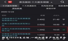 探索TRC20生态链：一场加密