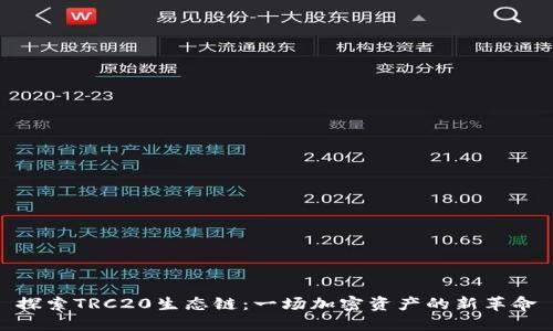 探索TRC20生态链：一场加密资产的新革命
