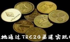   如何便捷地通过TRC20渠道