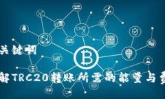 与关键词详解TRC20转账所需