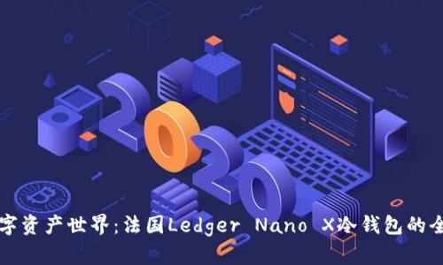 畅游数字资产世界：法国Ledger Nano X冷钱包的全面解析