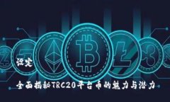 设定全面揭秘TRC20平台币的