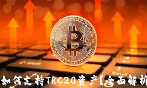 
比特派钱包如何支持TRC20资产？全面解析与使用指南