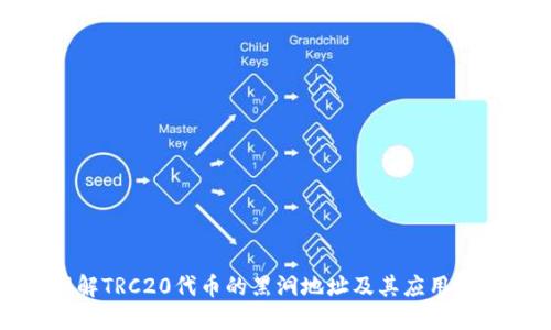 理解TRC20代币的黑洞地址及其应用探讨