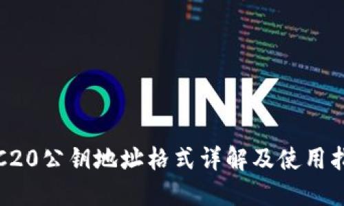 TRC20公钥地址格式详解及使用指南