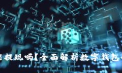 数字钱包能提现吗？全面